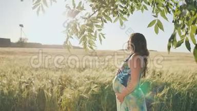 日落时分，一位怀孕的年轻女子站在一片麦田旁边，靠近悬挂着的树枝。 录像正在播放。
